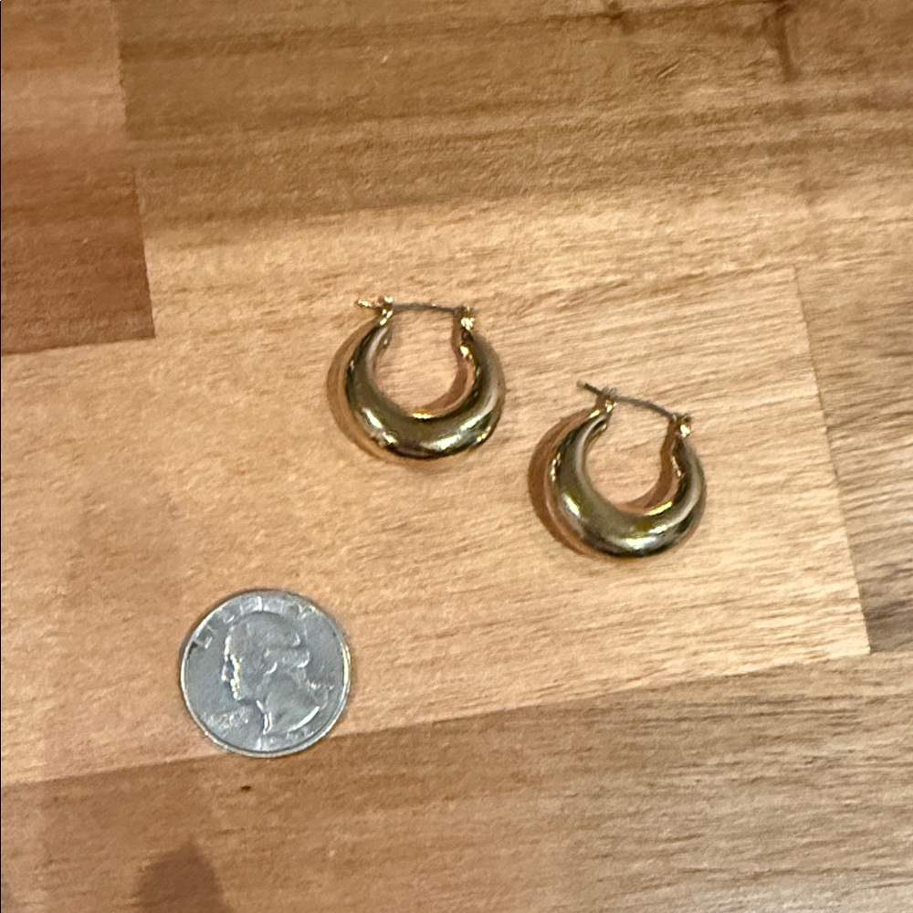 LOFT Gold  Earrings